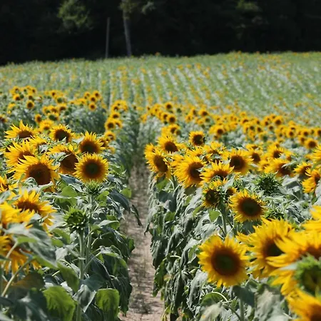 La Grainerie Le Manoir De Longeveau Hébergement de vacances Aubeterre-sur-Dronne